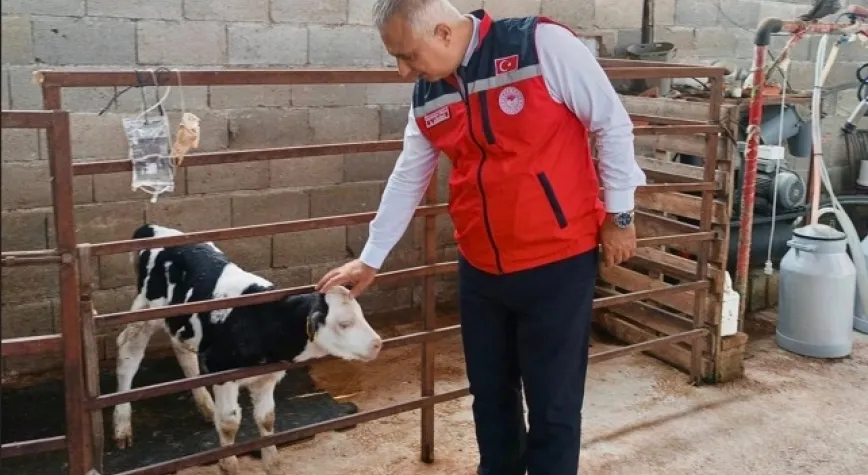 Türkmen hayvancılık işletmesini inceledi