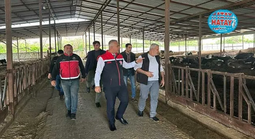 TÜRKMEN, TESİSLERDE İNCELEMELERDE BULUNDU