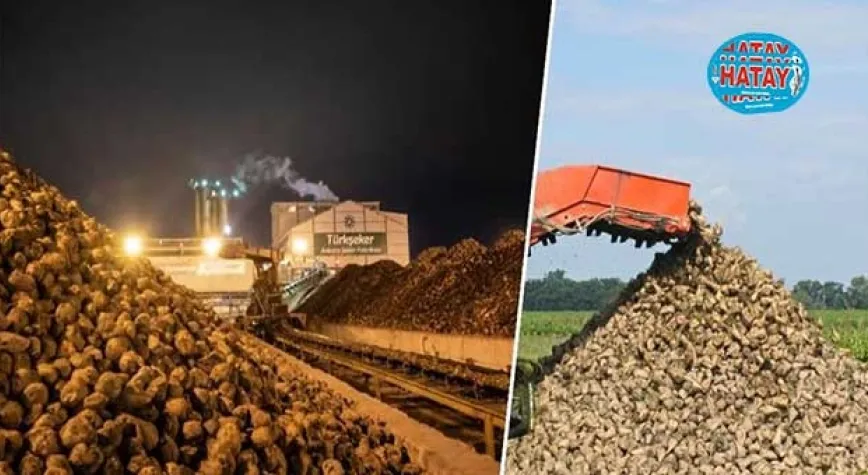 TÜRKŞEKER 40 BİN 132 ÜRETİCİYE 21 MİLYAR TL ÖDEME YAPTI