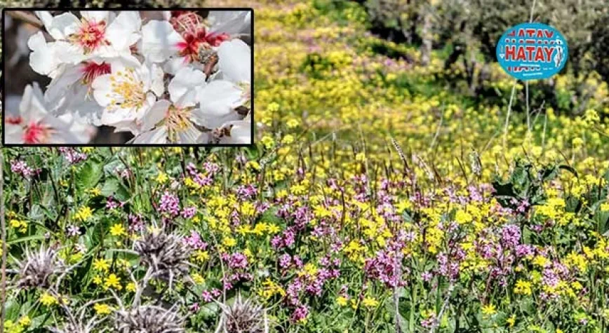 Üçüncüsü toprağa düştü 