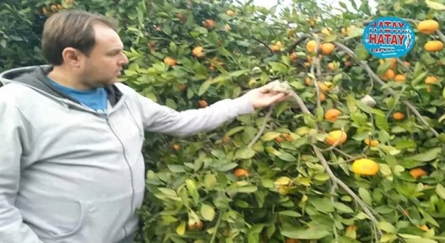 ÜRETİCİ SATAMIYOR, AMA MARKETTE 25 LİRA