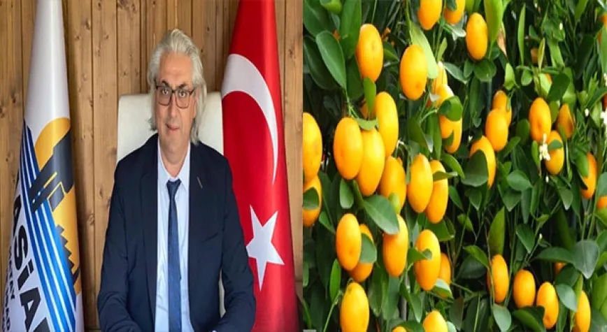ÜRETİCİ ÜRETİME KÜSTÜ