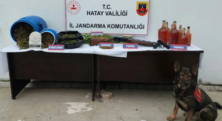 Haber Resmi