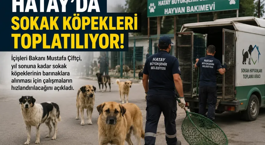 Manşet Resmi