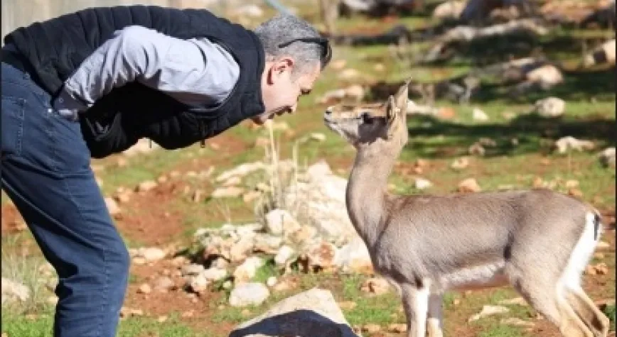 Vatandaşlar Sağlıklı Yaşamı Ceylanlara Borçlu