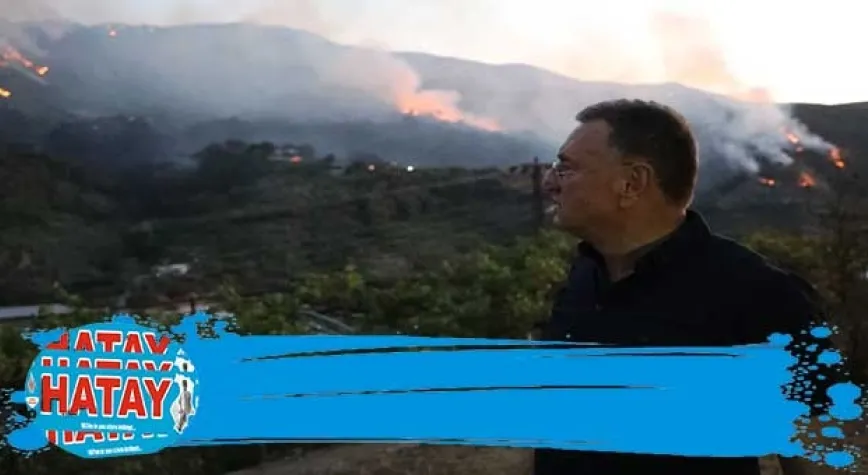 YANGIN 250 HEKTARLIK ALANA YAYILDI