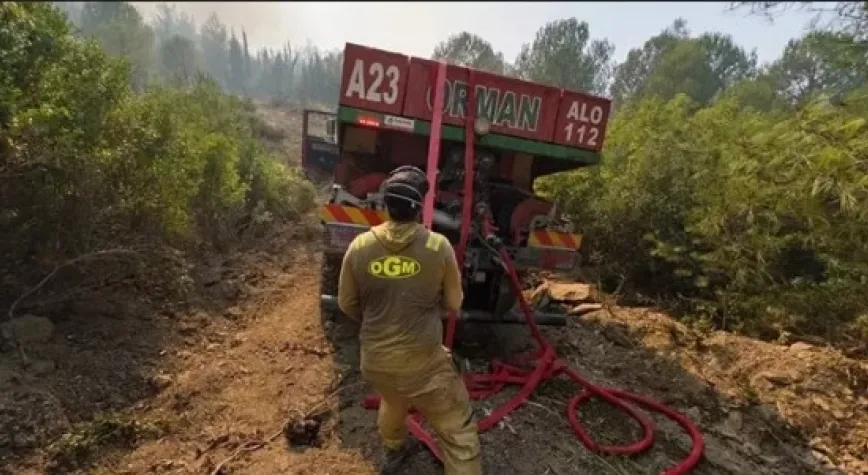 Yangınların çoğu ihmal ve dikkatsizlikten kaynaklandı