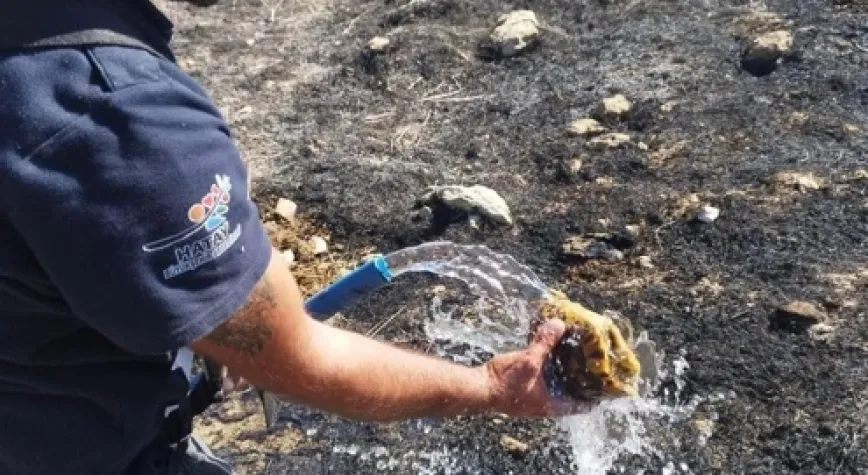 YANMAKTAN KURTARILAN KAPLUMBAĞAYA CAN SUYU