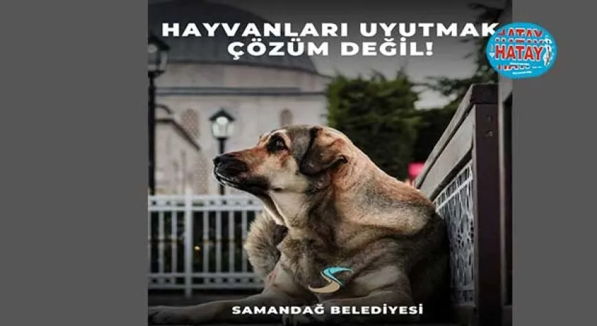 YASA TEKLİFİNE KARŞI ÇIKIYORUZ!