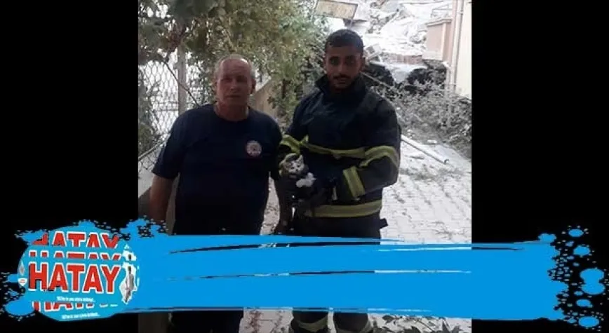 YAVRU KEDİ KURTARILDI