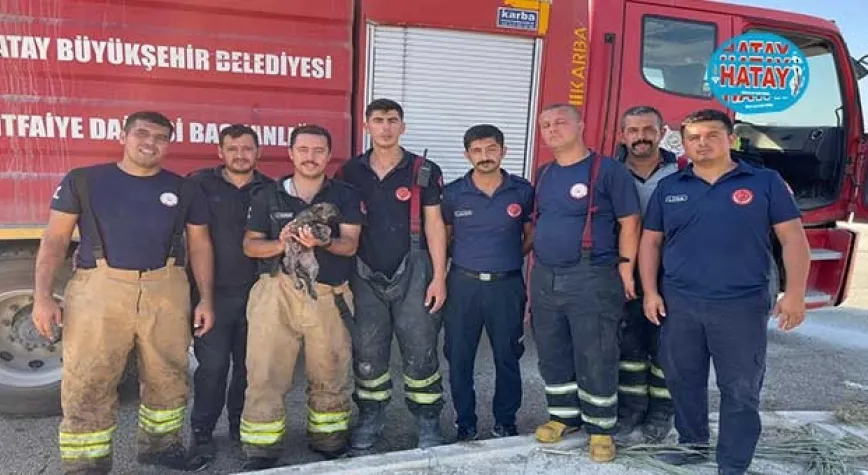 YAVRU KÖPEĞİ HBB İTFAİYESİ KURTARDI