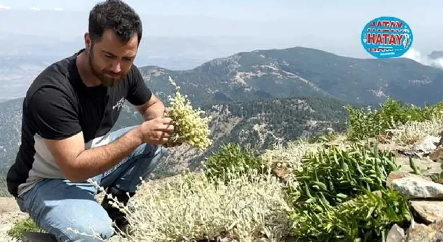 YAYLA ÇAYI İÇİN 2.240 METRE TIRMANIYORLAR
