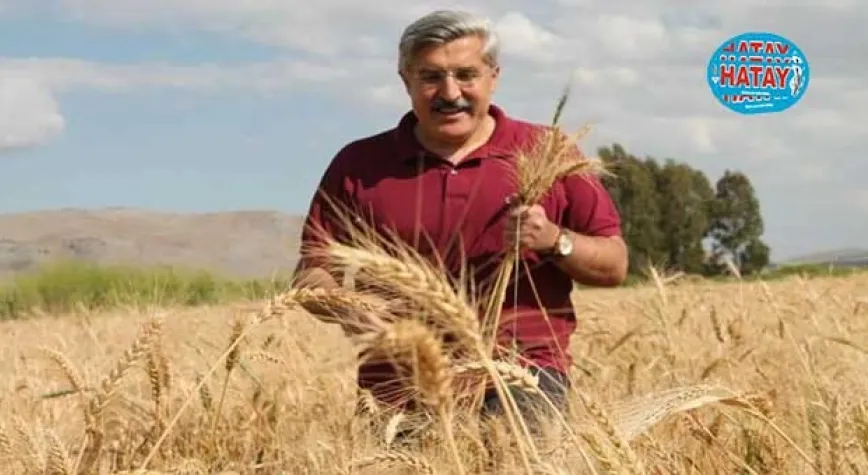 YAYMAN: TARIM OLMAZSA DÜNYA OLMAZ