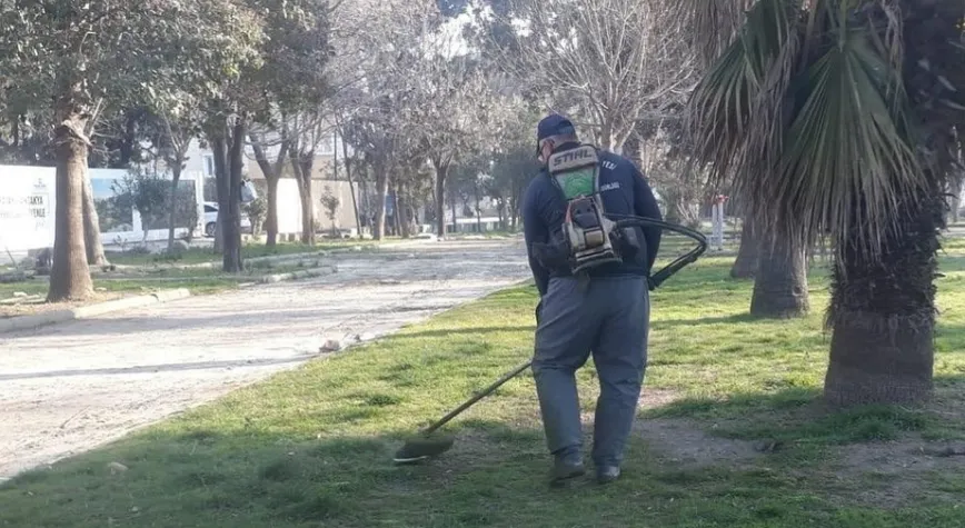 Yeşil Alanlarda Bakım Çalışmaları