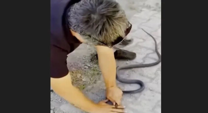 Yılana Parmağını Kaptırdı