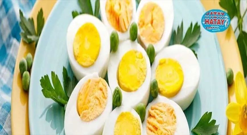 Yumurta Diyetinin Potansiyel Faydaları Nelerdir?