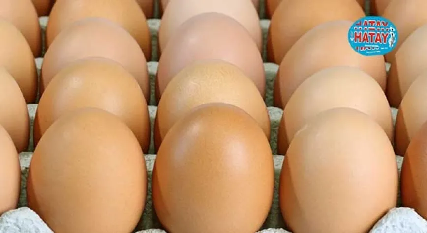 Yumurta sadece insanlar için değil, gezegenimiz için de sağlıklı
