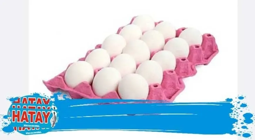 Yumurta üretimi arttı, içme sütü üretimi azaldı