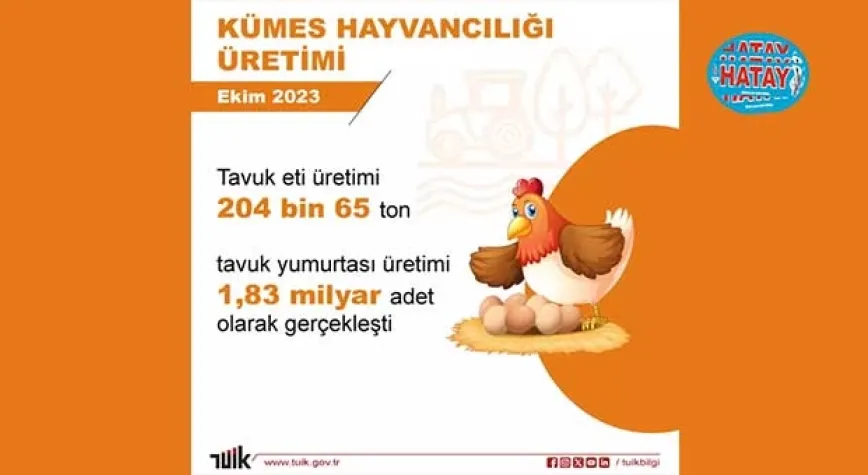 Yumurta üretimi ve inek sütü miktarı arttı