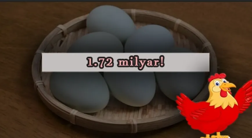 YUMURTA ÜRETİMİ!