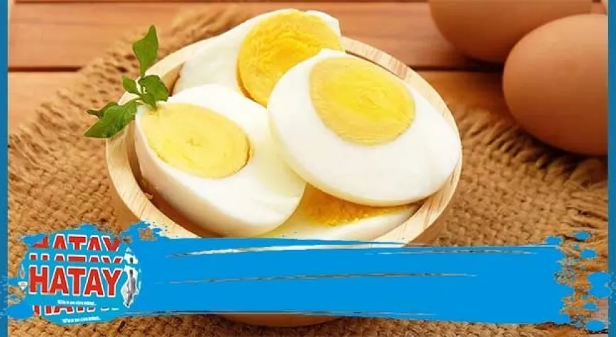 Yumurtanın Besin Değeri Nedir?