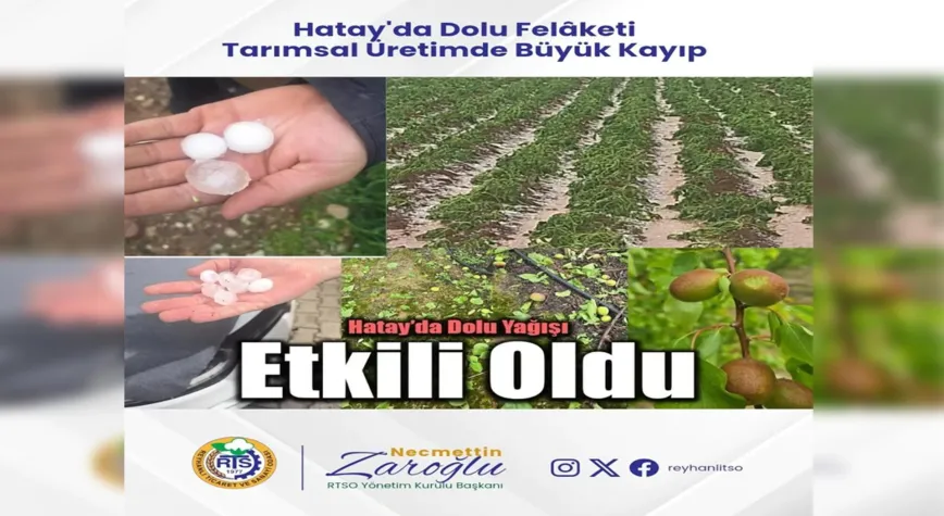 Zaroğlu’ndan Dolu Afeti Sonrası Çiftçilere Destek Çağrısı