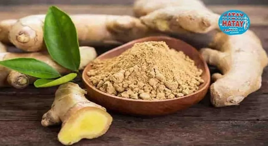 Zencefil Zararları ve Yan Etkileri Nelerdir?