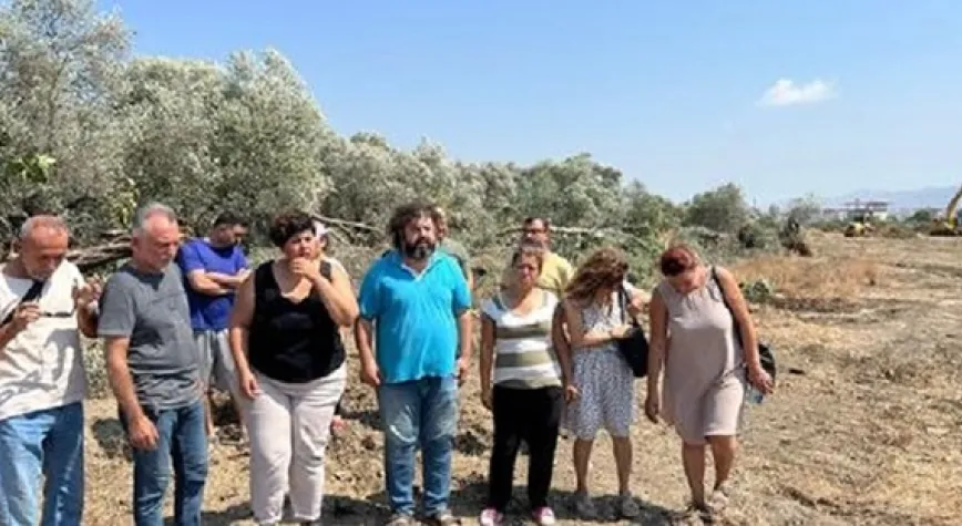 ZEYTİN KATLİAMI DURDURULMALI