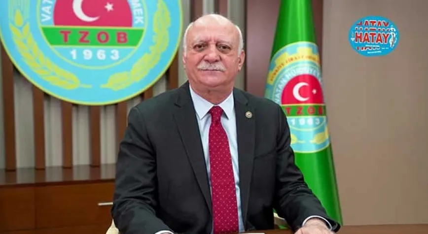 Zeytinyağında taklit ve tağşiş devam ediyor