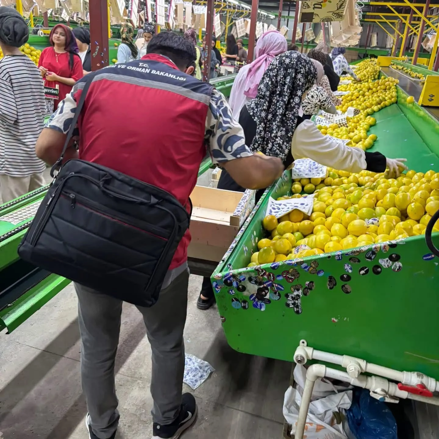 Haber Resmi