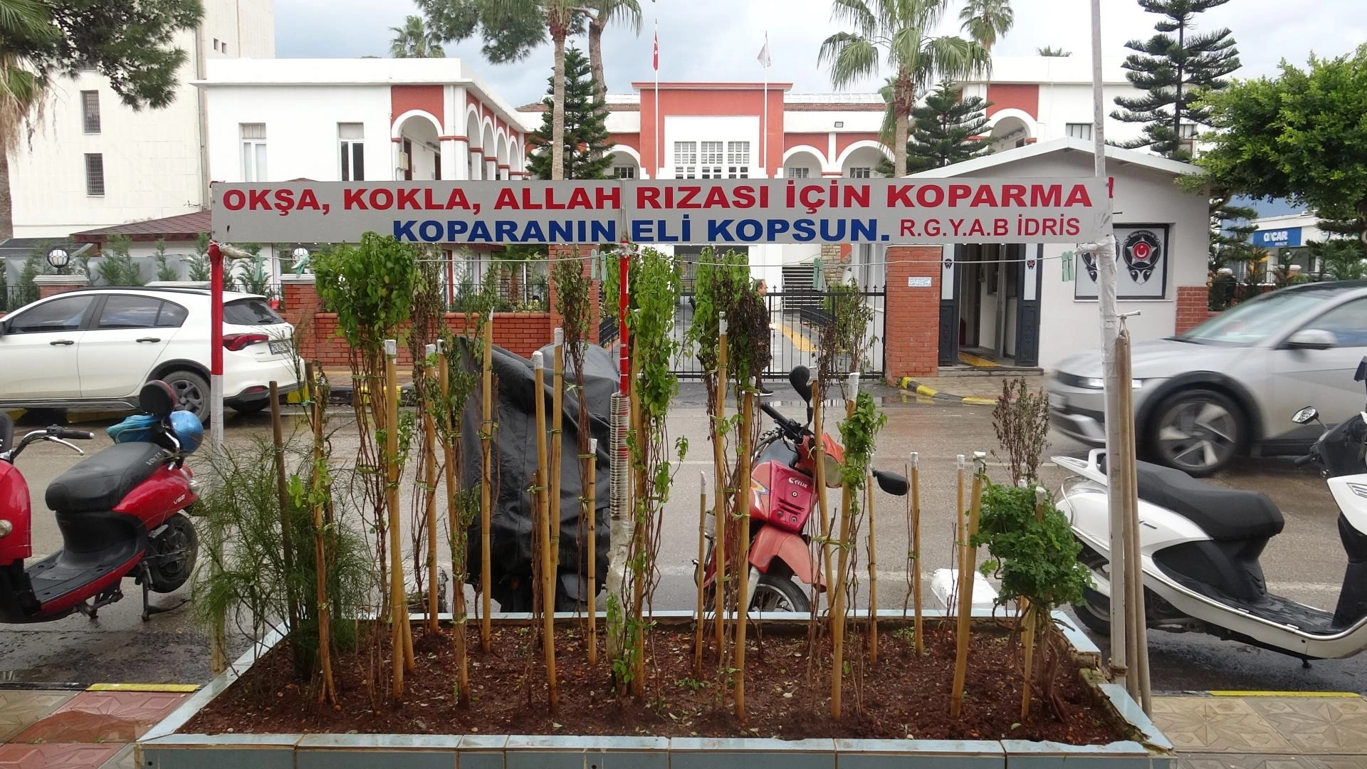 Haber Resmi