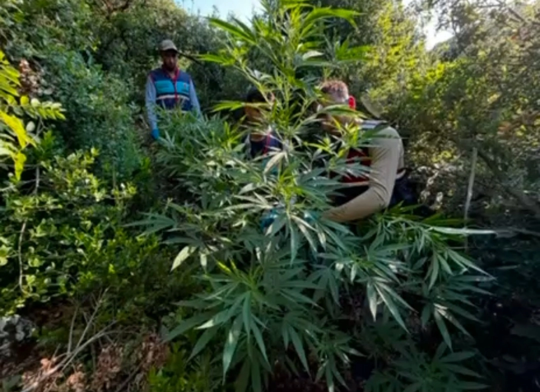 Haber Resmi
