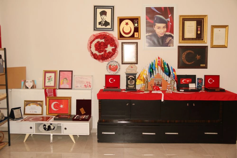 Haber Resmi