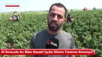 Hatay’da Kablo Hırsızlığına 8 Tutuklama