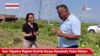 Serum çıkarma işlemi sırasında sargı kesilirken 5 aylık bebeğin parmağı kesildi