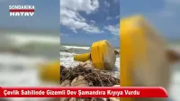 Traktörün Pulluğuna Kapılan Çiftçiyi Operatör Ölümden Kurtardı