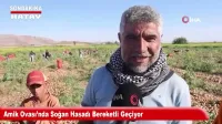 Samandağ Açıklarında Yunusların Görsel Şovu Kamerada