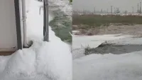Haber Resmi