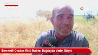 İskenderun Limanı'nda İlginç Anlar: Gemiden Kaçan Angus Denizde Yüzdü