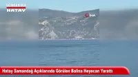 Hatay’da Gadir-i Hum Bayramı Coşkuyla Kutlandı