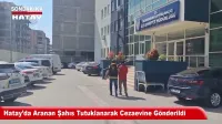 Antakya’nın Dünyaya Dağılan Mozaikleri Replikalarıyla Hatay’da