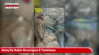 Hataylı Çiftçiden Depremzedelere 50 Ton Kavun Hayrı