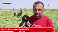 Yayladağı'nda Karakılçık Buğdayı Bulgura Dönüşüyor
