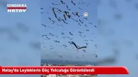 Samandağlı Muhtarlardan Dev Altyapı Projesine Tam Not