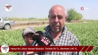 Hatay’da Kazada Ölen Annenin Oğlundan Tutuklama Çağrısı
