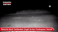 54 Suç Kaydı Bulunan Hırsız Motosiklet Çalarken Kamerada
