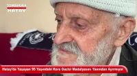 Hatay'da Üzüm Hasadı Başladı 85 Bin Ton Rekolte Bekleniyor