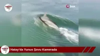 Hatay’da Husumetlisini Sokakta Vurdu: O Anlar Kamerada