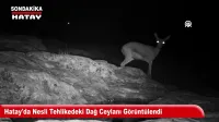 Hatay'da İbrahim Yaşar Davasında Sanıklardan Şoke Eden Savunma