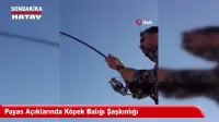Video Resmi